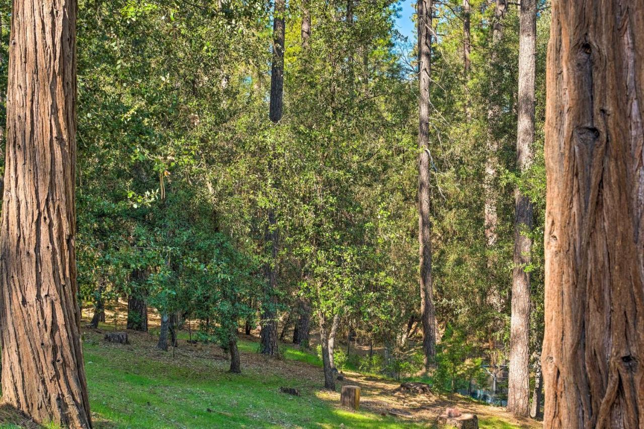 Convenient Apt With Fire Pit About Half-Mi To Lake! Groveland Exterior foto